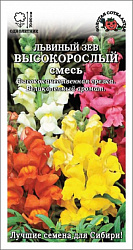 Львиный зев Высокорослый (Золотая Сотка)