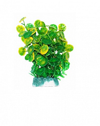 Растение аквариумное Щитолистник зелено-желтый 24см Уют ВК505