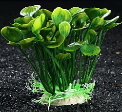 Растение аквариумное 14см 6909512