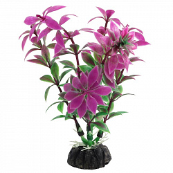 Растение аквариумное Ротала сиреневая 10см Laguna