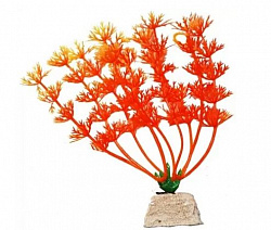 Растение аквариумное Амбулия оранжевая 10см Уют ВК110