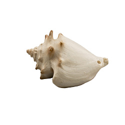 Грот Prime Ракушка Cтромбус 6,5*4,5*4см LH174