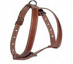 Шлейка кожа Ч для французского бульдога АРТ403