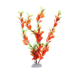 Растение аквариумное К 30см