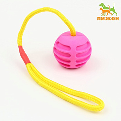 Игрушка для собак Шар усиленный на веревке 43 см, шар 6см розовый Пижон